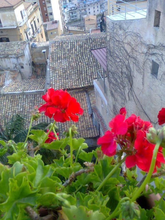 I Tetti Di Girgenti Bed & Breakfast Agrigento Exterior foto